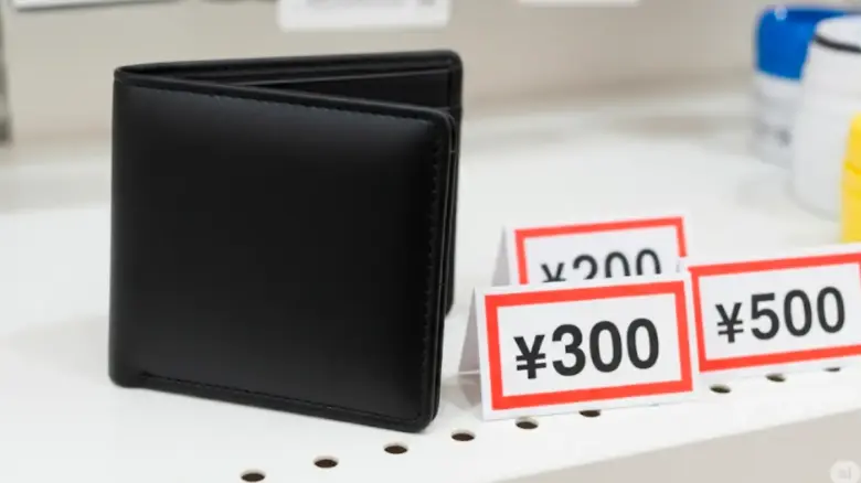 100均の財布は恥ずかしい?実用的でおしゃれな使い方の例